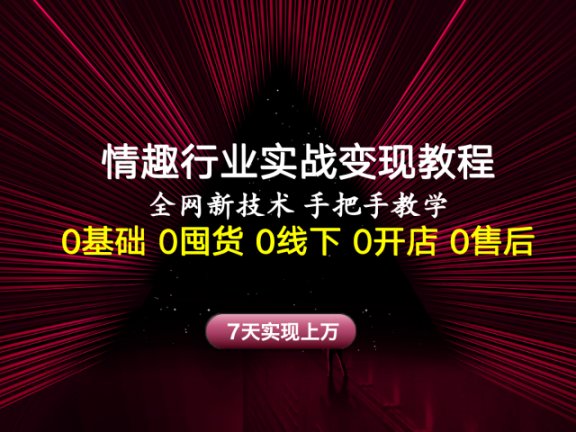 情趣行业实战变现教程,全网新技术,手把手教学,7天实现上万