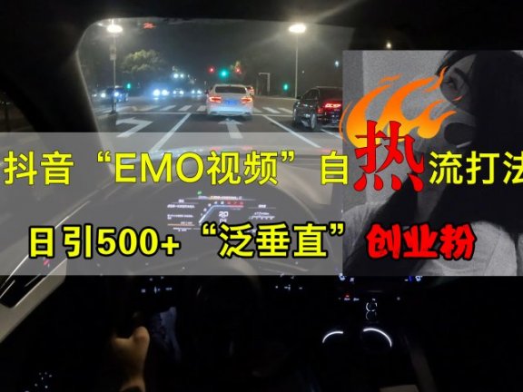 抖音EMO视频自热打法，日引500+创业粉“泛垂直”