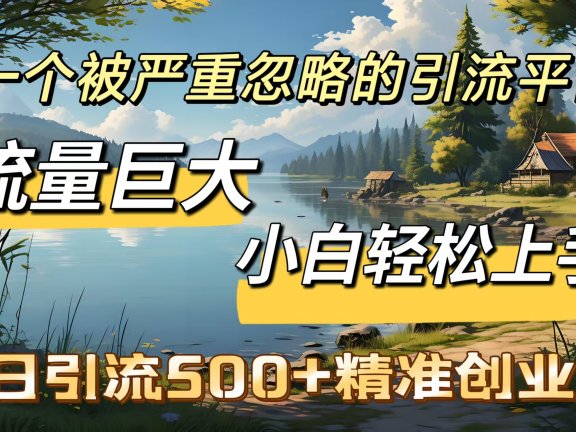 一个被严重忽略的引流平台，流量巨大，小白轻松上手，单日引流500＋精准创业粉