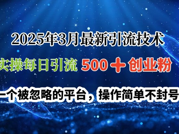 2025年3月最新引流技术，实操每日引流500➕创业粉，一个被忽略的平台，操作简单不封号