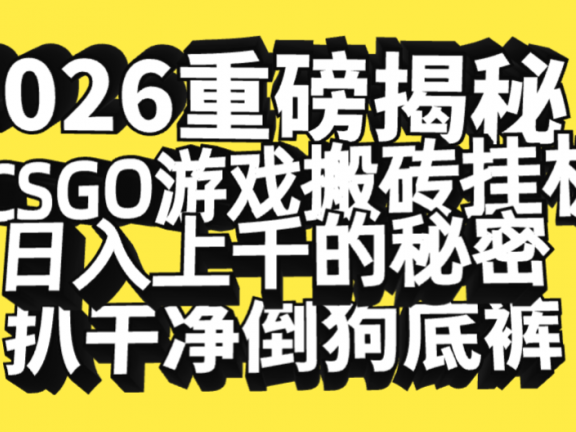 2026开年重磅解密,CSGO游戏搬砖挂机日入上千的秘密,把倒狗的底裤扒干净,毫无保留